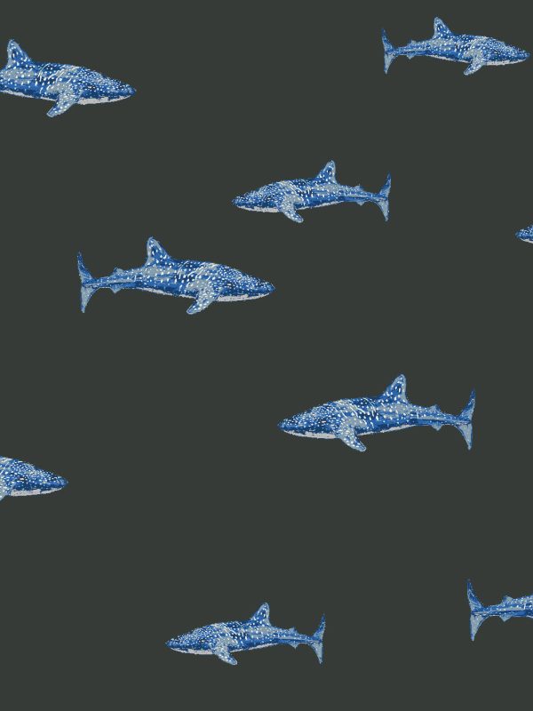 Spotted Shark  Wallpaper by Tea Collection - Charcoal Online