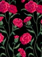 Townhouse  Wallpaper by Sarah Jessica Parker - Scarlet on Black For Sale