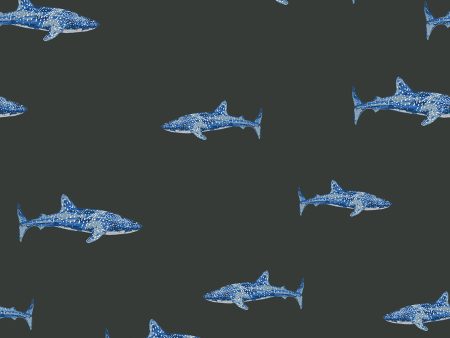 Spotted Shark  Wallpaper by Tea Collection - Charcoal Online