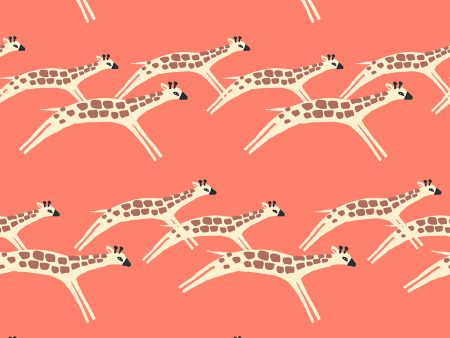 Galloping Giraffes  Wallpaper by Tea Collection - Watermelon For Discount