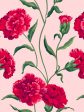 Townhouse  Mural Wallpaper by Sarah Jessica Parker - Scarlet on Pink Hot on Sale