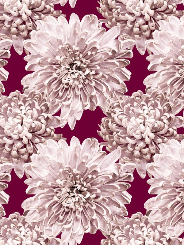 The Mums  Wallpaper by Sarah Jessica Parker - Claret Supply