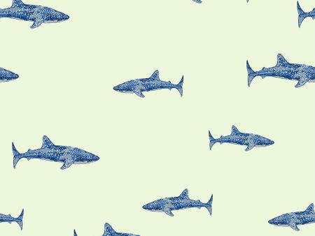 Spotted Shark  Wallpaper by Tea Collection - Pistachio Sale