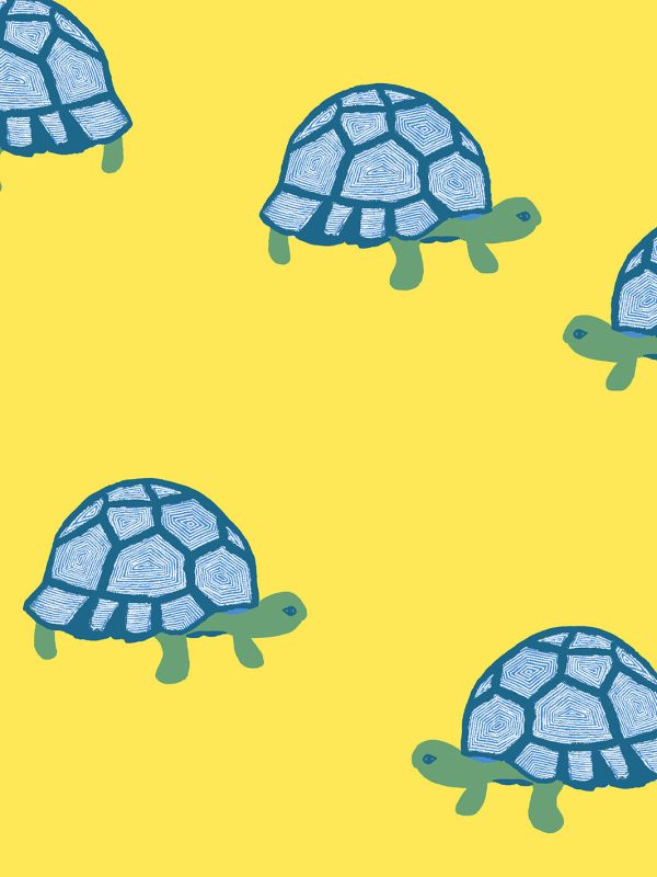 Tortoise  Wallpaper by Tea Collection - Daffodil Discount