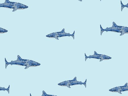 Spotted Shark  Wallpaper by Tea Collection - Sky For Cheap