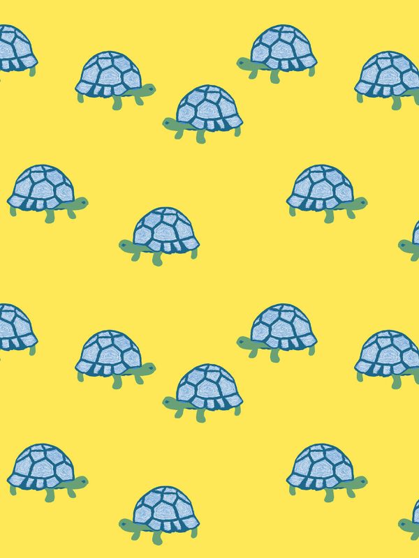 Tortoise  Wallpaper by Tea Collection - Daffodil Discount