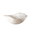 CONCHA BOWL IN ALABASTER Supply