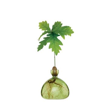 ACORN BUD VASE IN GRASS GREEN on Sale